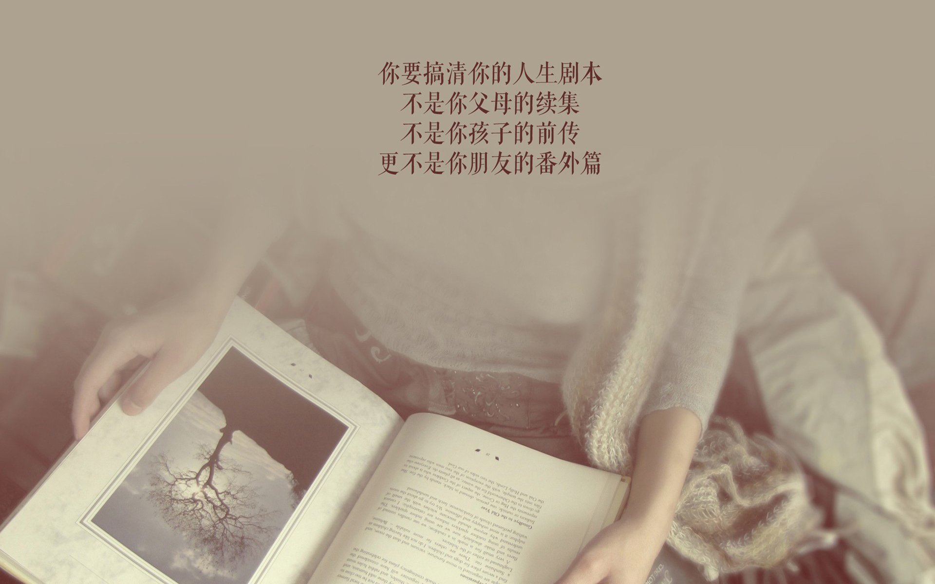 中国篮球联赛观众行为特征分析与研究，篮球观众席座次安排图