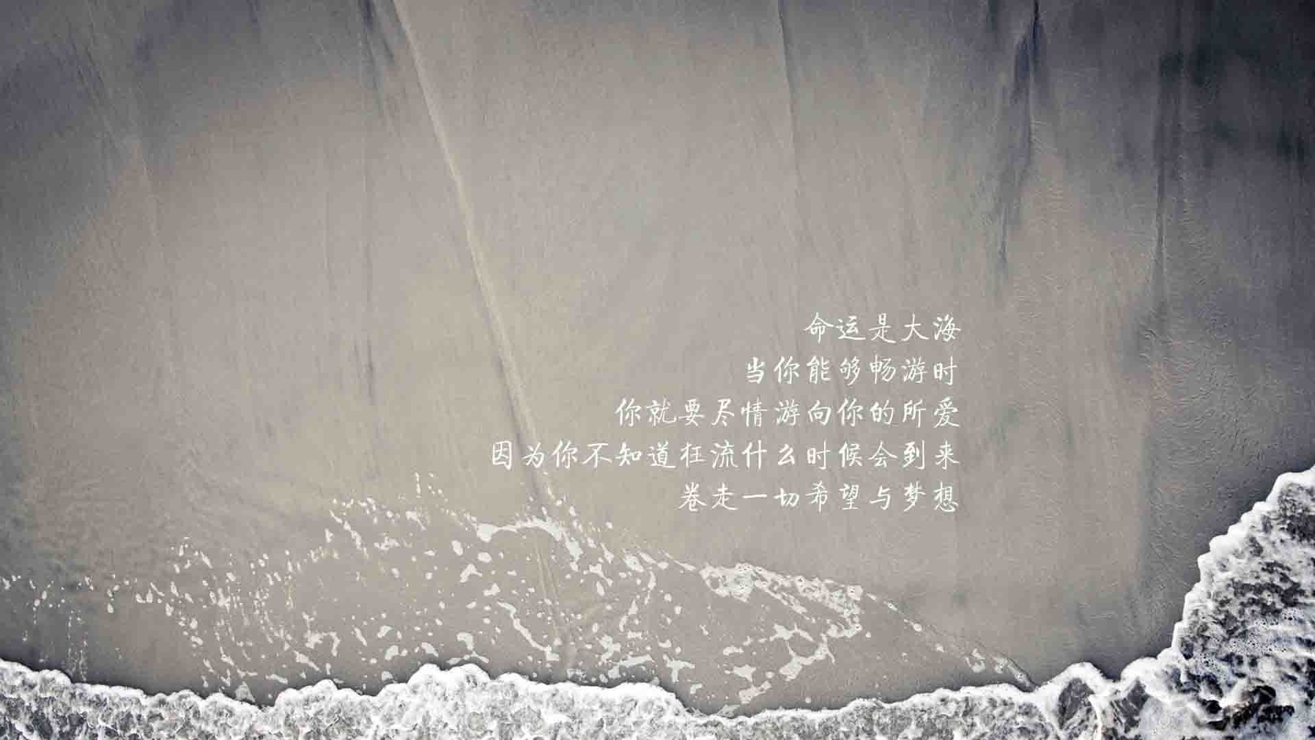 中国篮球联赛观众行为特征分析与研究，篮球观众席座次安排图