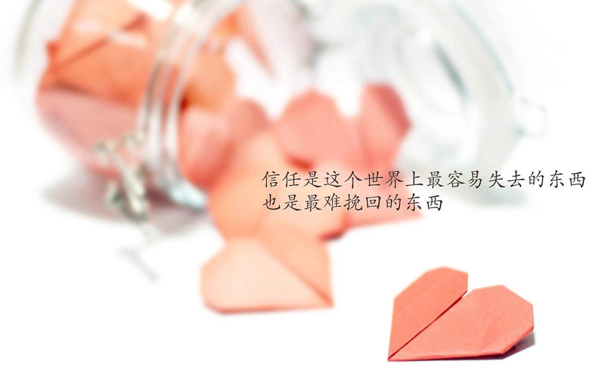 中国篮球联赛观众行为特征及营销策略研究，篮球赛观众须知