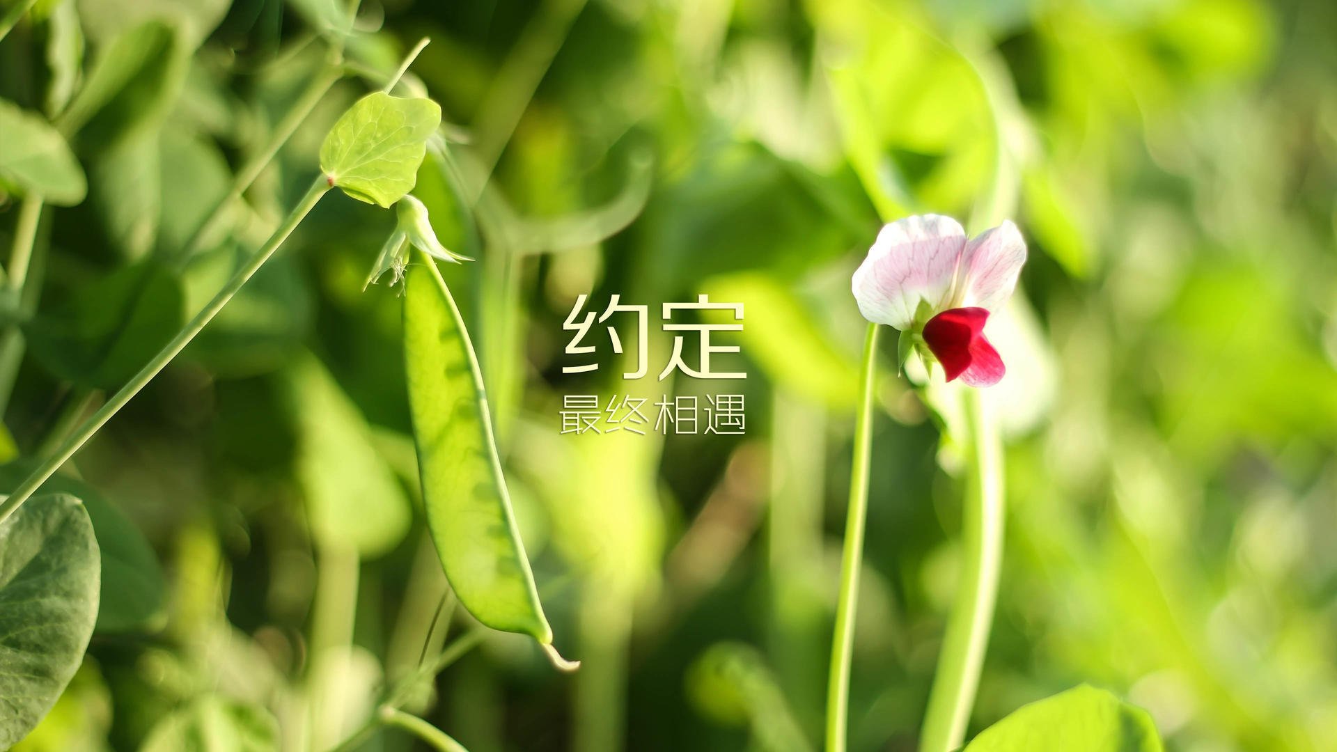 华体会网址-体育教师继续教育发展路径，体育教师继续教育发展路径有哪些