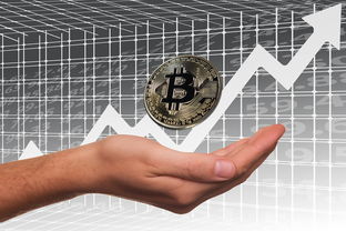华体会网站-英超俱乐部母公司上市路径与股价波动分析，英超俱乐部投入