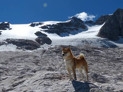 2024年埃及队在世界杯中的技术革新与突破,埃及世界杯阵容