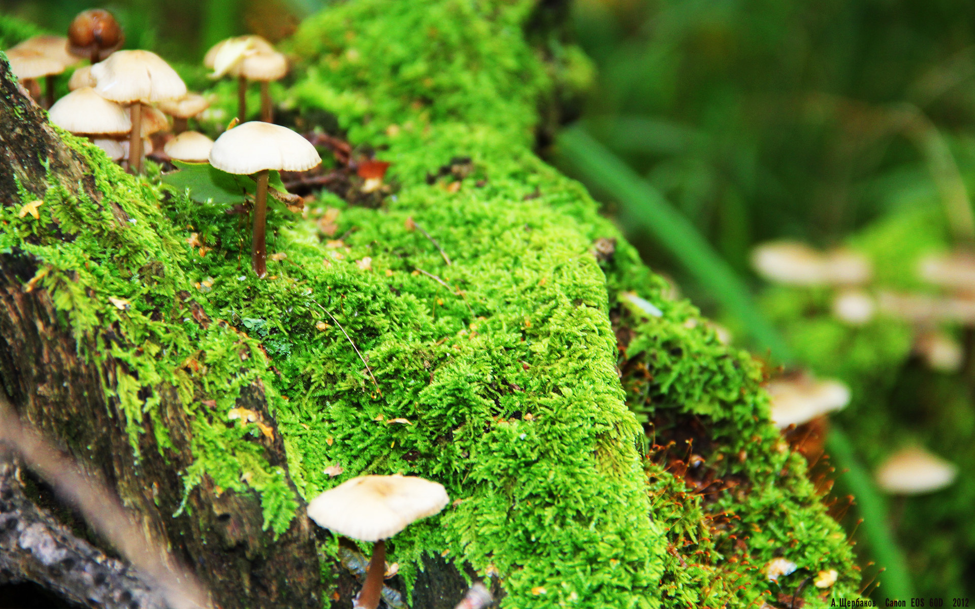 体育新闻中心协办青少年运动科普内容创作营,青少年体育科技创新大赛