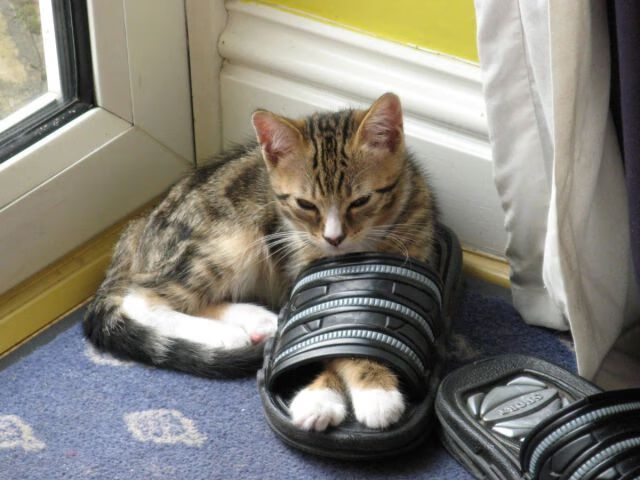 全民健身运动深入乡村社区,开展全民健身运动乡村振兴