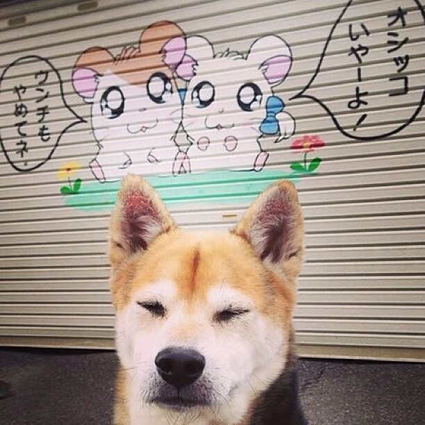 足球发展规划缺少阶段性检验机制,足球现状分析