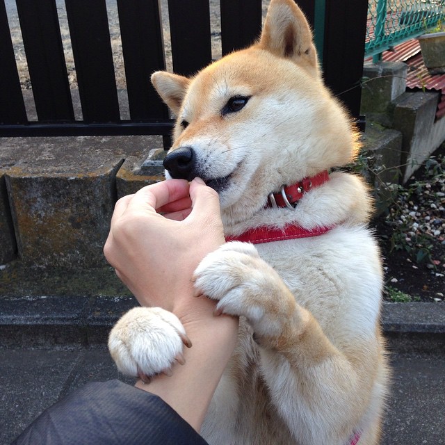 华体会官网入口-德甲火力全开：攻势雷霆万钧