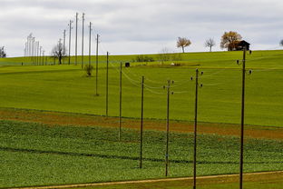 华体会网站-中国足球国家队强化中场控制力和调度能力，中国足球管理
